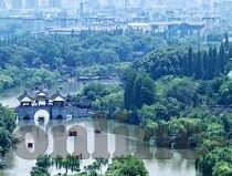 大象传媒app下载官方版-探索大象传媒APP，官方版下载的便捷与魅力