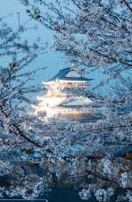国产成人av麻豆色哟哟-国产成人内容的网络灰幕，一抹深不见底的诱惑