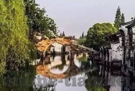 久久精品一区二区-探索网络世界的多元魅力，久久精品一区二区的独特视角