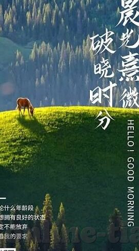 麻豆传媒视频在线播放-聚焦网络视听，麻豆传媒视频的多元化与在线播放体验