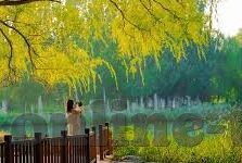 麻豆传媒纹身女-不可视的自我印记，麻豆传媒纹身的背后故事