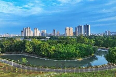 麻豆精选2021短视频-麻豆精选，2021短视频的独特魅力与无限可能