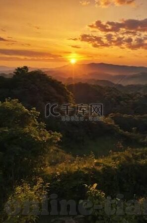 麻豆视频你懂的-揭秘麻豆视频，网络世界中的视觉盛宴与审慎之思