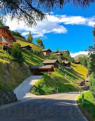 麻豆直播下载app官方-探析麻豆直播app，数字时代的娱乐新选择