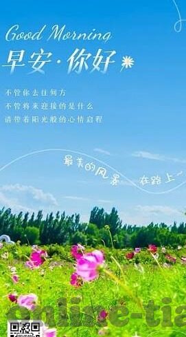 视频麻豆-视频麻豆，网络时代的镜头艺术新宠
