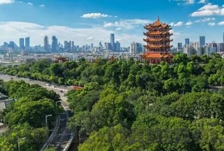 手机不卡一区二区三区在线-探索手机性能优化，从一区到三区的流畅体验