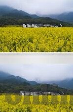 糖心app好用吗-糖心app——全面体验与真实反馈解析